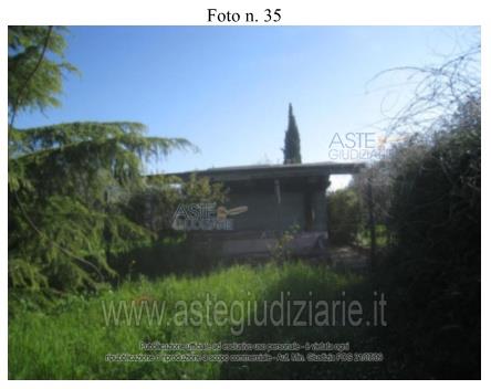 Fotografia del bene