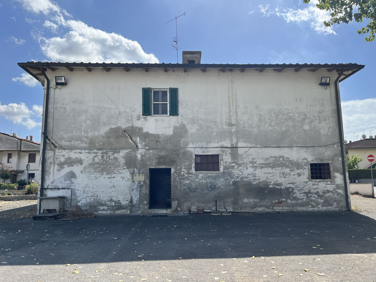 immagine decorativa