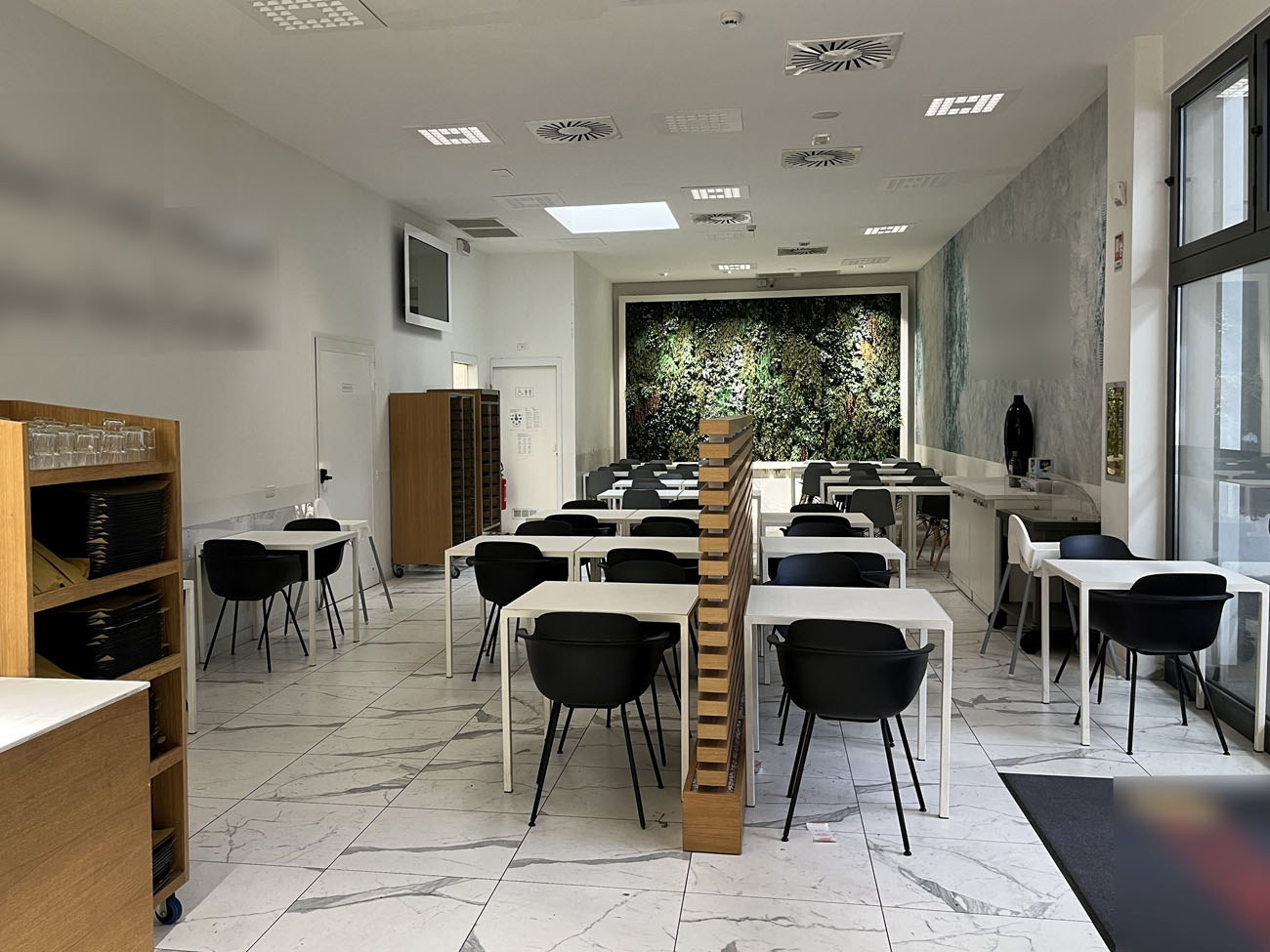 immagine decorativa