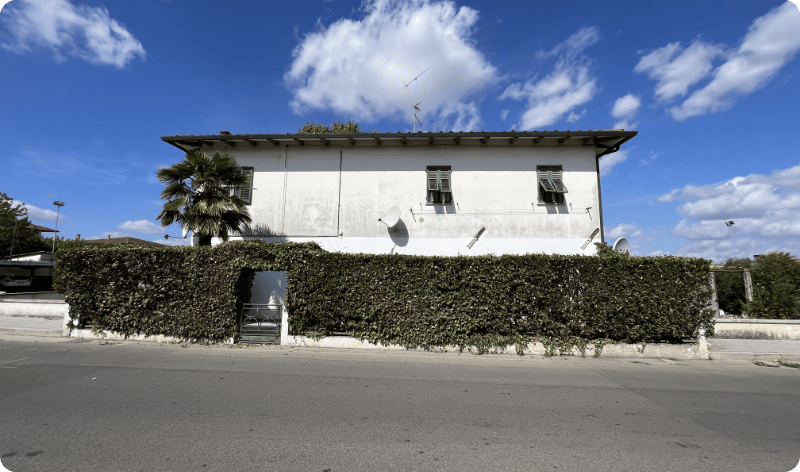 immagine decorativa