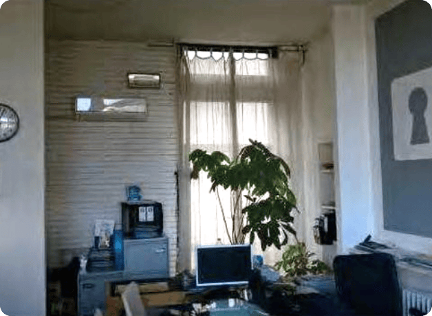 immagine decorativa